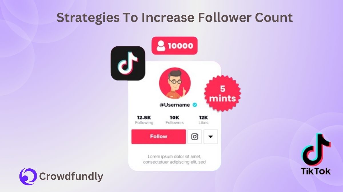 Strategies To Increase Follower Count